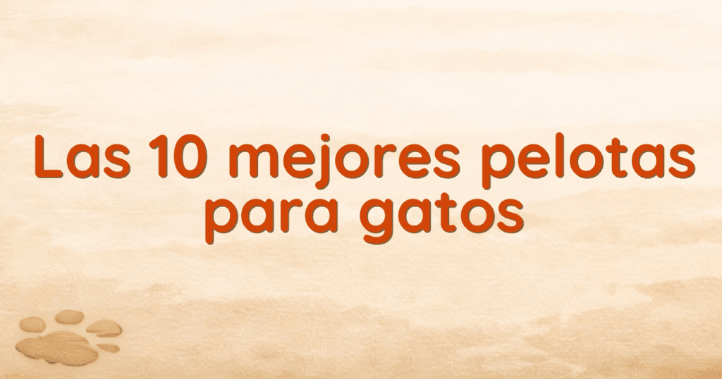 Las 10 mejores pelotas para gatos