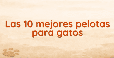 Las 10 mejores pelotas para gatos
