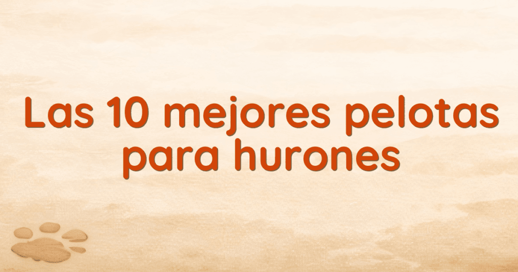 Las 10 mejores pelotas para hurones