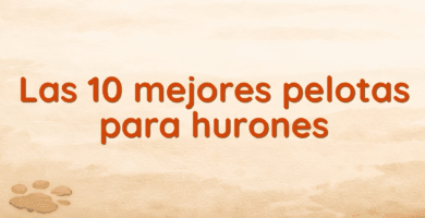 Las 10 mejores pelotas para hurones