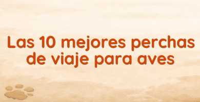 Las 10 mejores perchas de viaje para aves