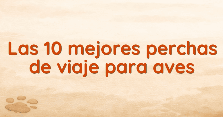 Las 10 mejores perchas de viaje para aves Las 10 mejores perchas de viaje para aves
