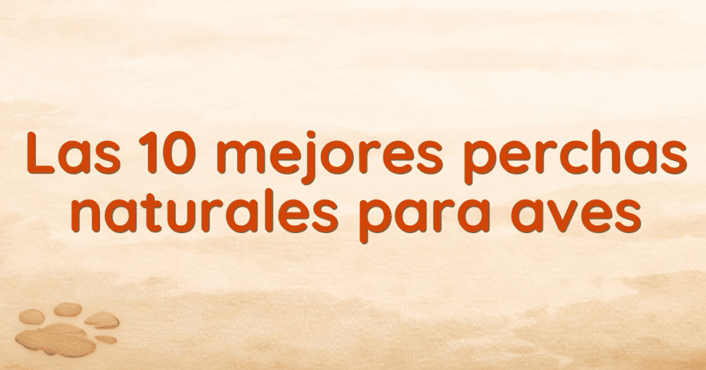 Las 10 mejores perchas naturales para aves Las 10 mejores perchas naturales para aves