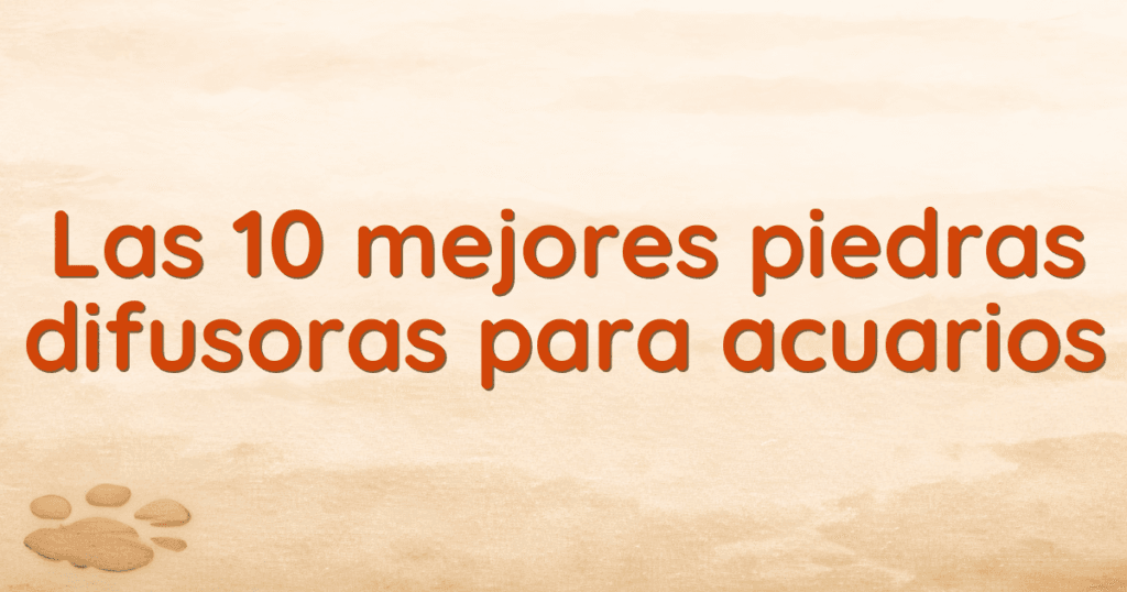 Las 10 mejores piedras difusoras para acuarios