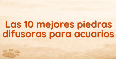 Las 10 mejores piedras difusoras para acuarios