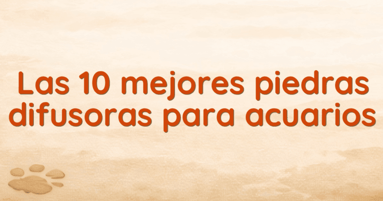 Las 10 mejores piedras difusoras para acuarios