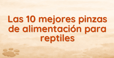 Las 10 mejores pinzas de alimentación para reptiles