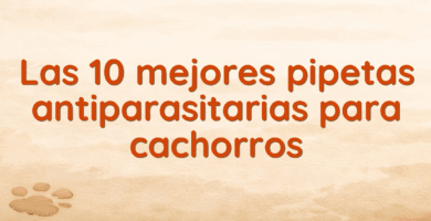 Las 10 mejores pipetas antiparasitarias para cachorros Las 10 mejores pipetas antiparasitarias para cachorros
