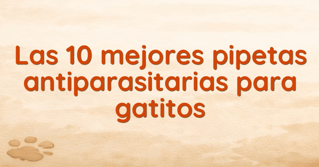 Las 10 mejores pipetas antiparasitarias para gatitos