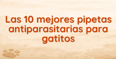 Las 10 mejores pipetas antiparasitarias para gatitos Las 10 mejores pipetas antiparasitarias para gatitos