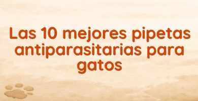 Las 10 mejores pipetas antiparasitarias para gatos