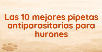 Las 10 mejores pipetas antiparasitarias para hurones Las 10 mejores pipetas antiparasitarias para hurones