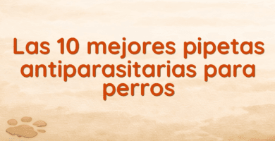 Las 10 mejores pipetas antiparasitarias para perros
