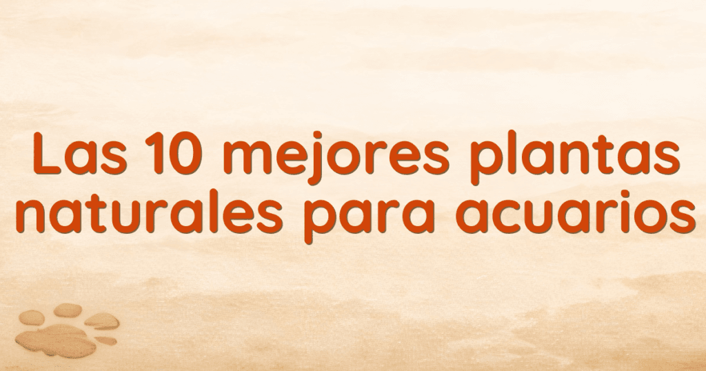 Las 10 mejores plantas naturales para acuarios