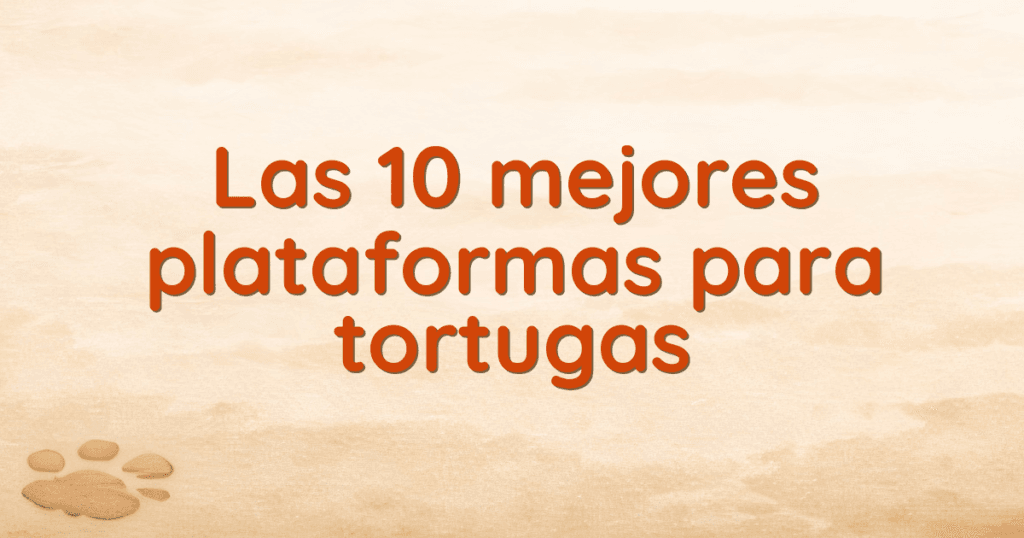 Las 10 mejores plataformas para tortugas Las 10 mejores plataformas para tortugas