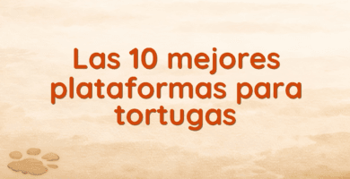 Las 10 mejores plataformas para tortugas