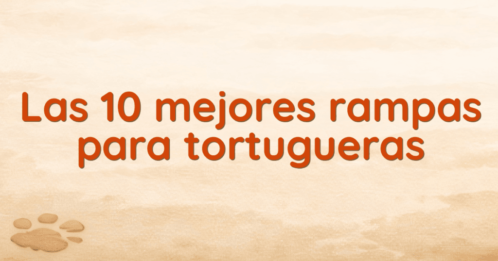 Las 10 mejores rampas para tortugueras