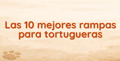 Las 10 mejores rampas para tortugueras