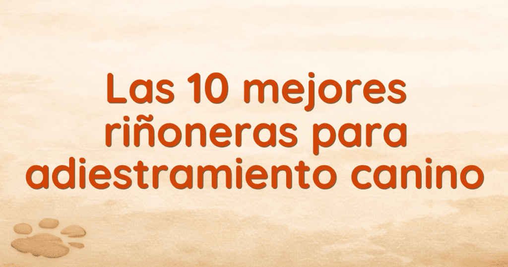 Las 10 mejores riñoneras para adiestramiento canino Las 10 mejores riñoneras para adiestramiento canino