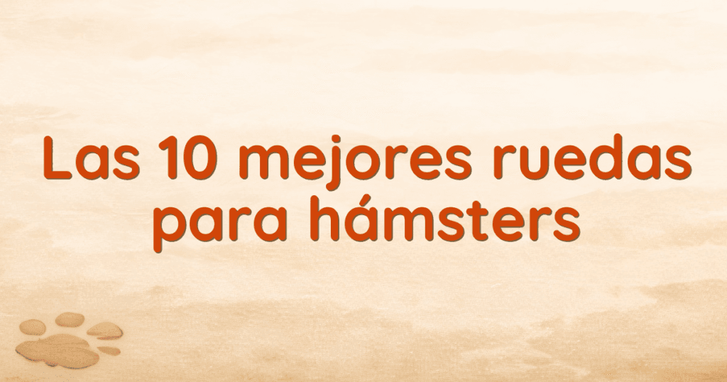 Las 10 mejores ruedas para hámsters