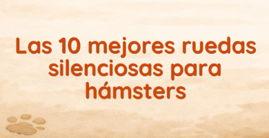 Las 10 mejores ruedas silenciosas para hámsters Las 10 mejores ruedas silenciosas para hámsters