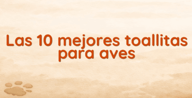 Las 10 mejores toallitas para aves