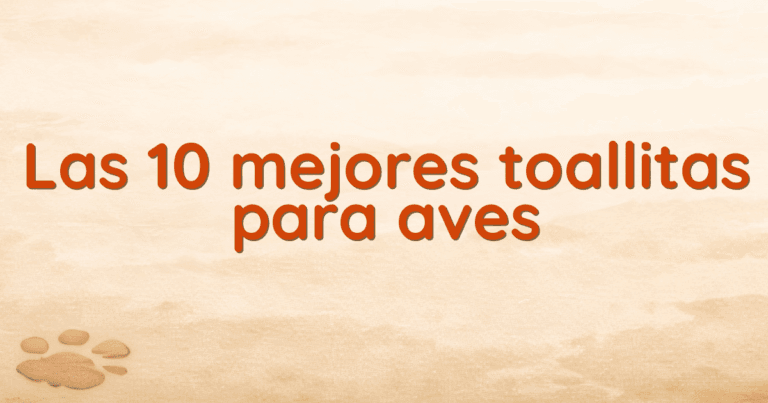 Las 10 mejores toallitas para aves