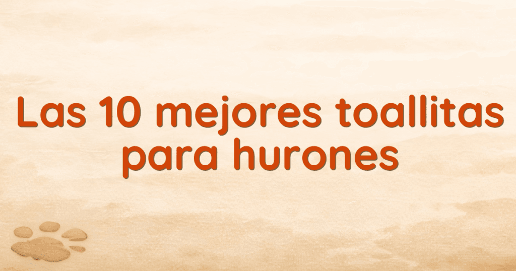Las 10 mejores toallitas para hurones Las 10 mejores toallitas para hurones