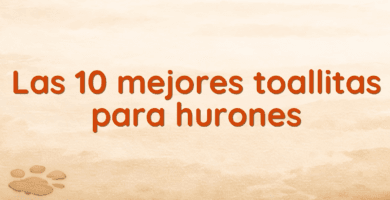 Las 10 mejores toallitas para hurones Las 10 mejores toallitas para hurones