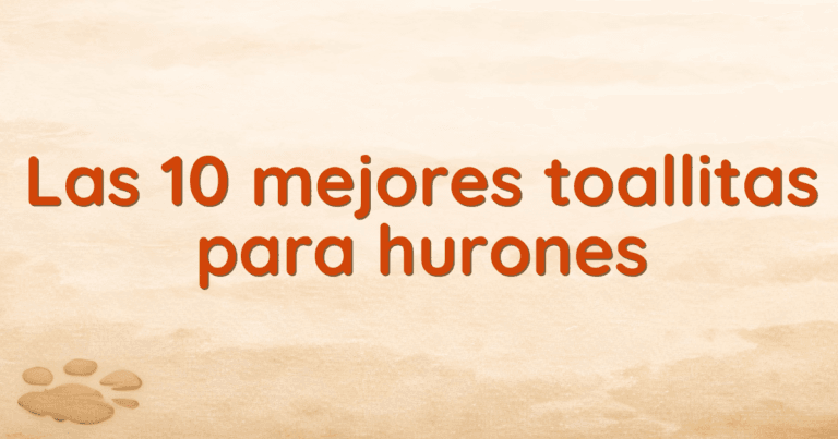 Las 10 mejores toallitas para hurones Las 10 mejores toallitas para hurones