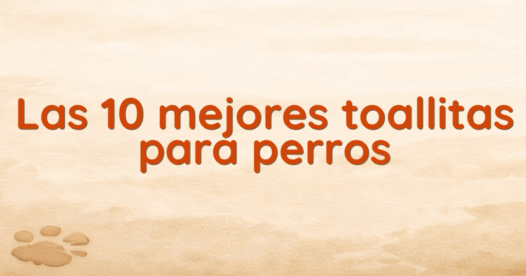 Las 10 mejores toallitas para perros Las 10 mejores toallitas para perros