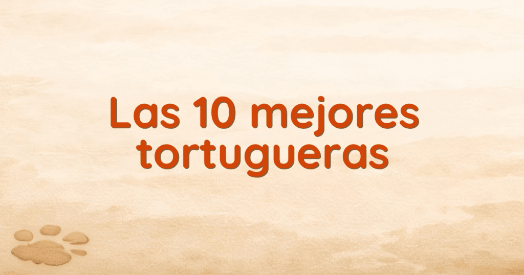 Las 10 mejores tortugueras