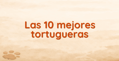 Las 10 mejores tortugueras