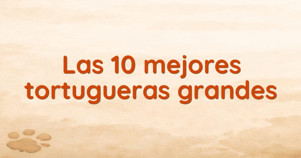 Las 10 mejores tortugueras grandes