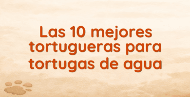 Las 10 mejores tortugueras para tortugas de agua