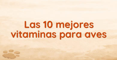 Las 10 mejores vitaminas para aves Las 10 mejores vitaminas para aves