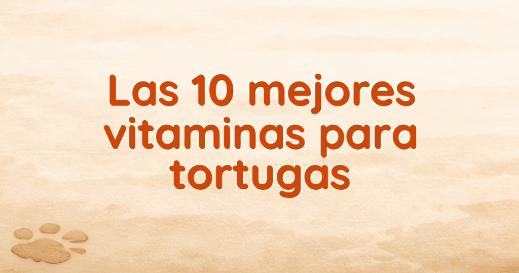 Las 10 mejores vitaminas para tortugas