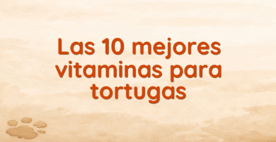 Las 10 mejores vitaminas para tortugas