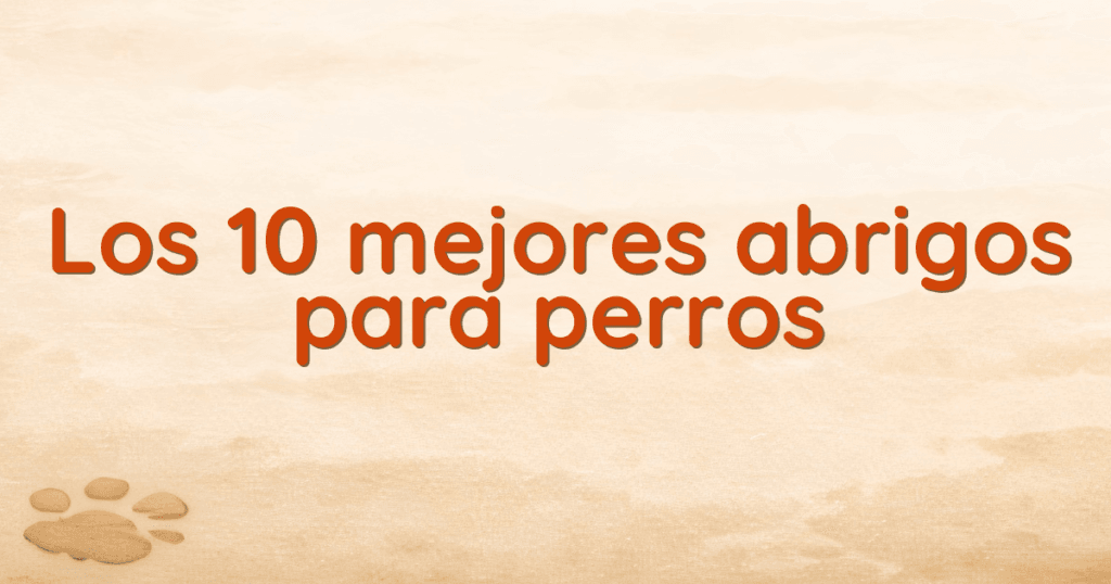 Los 10 mejores abrigos para perros Los 10 mejores abrigos para perros