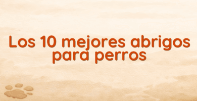 Los 10 mejores abrigos para perros Los 10 mejores abrigos para perros