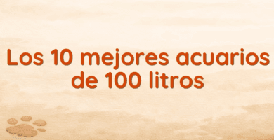 Los 10 mejores acuarios de 100 litros