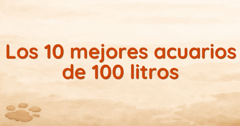 Los 10 mejores acuarios de 100 litros