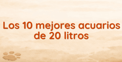 Los 10 mejores acuarios de 20 litros