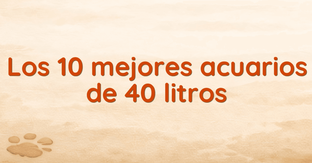 Los 10 mejores acuarios de 40 litros Los 10 mejores acuarios de 40 litros