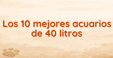 Los 10 mejores acuarios de 40 litros Los 10 mejores acuarios de 40 litros