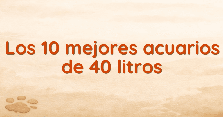 Los 10 mejores acuarios de 40 litros Los 10 mejores acuarios de 40 litros