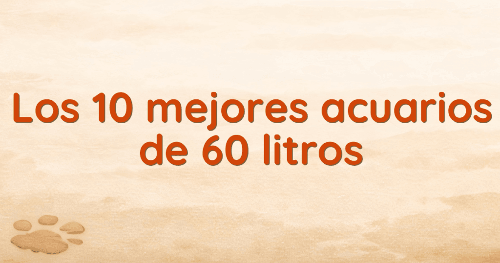 Los 10 mejores acuarios de 60 litros