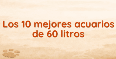 Los 10 mejores acuarios de 60 litros