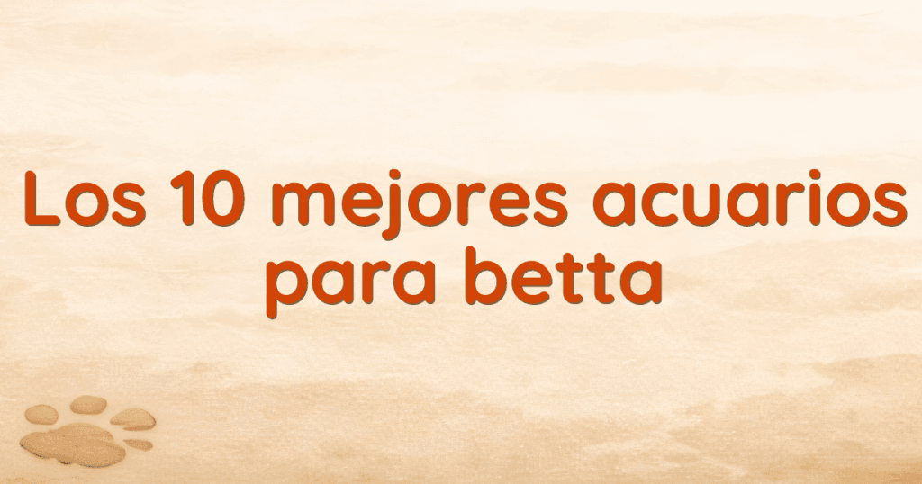Los 10 mejores acuarios para betta Los 10 mejores acuarios para betta