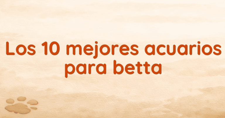 Los 10 mejores acuarios para betta Los 10 mejores acuarios para betta